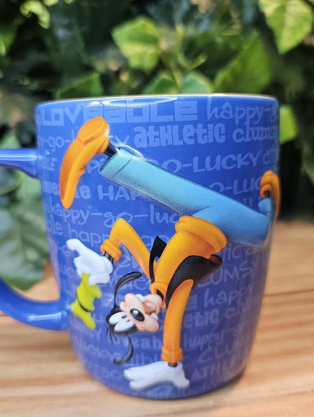 Disney fun parks